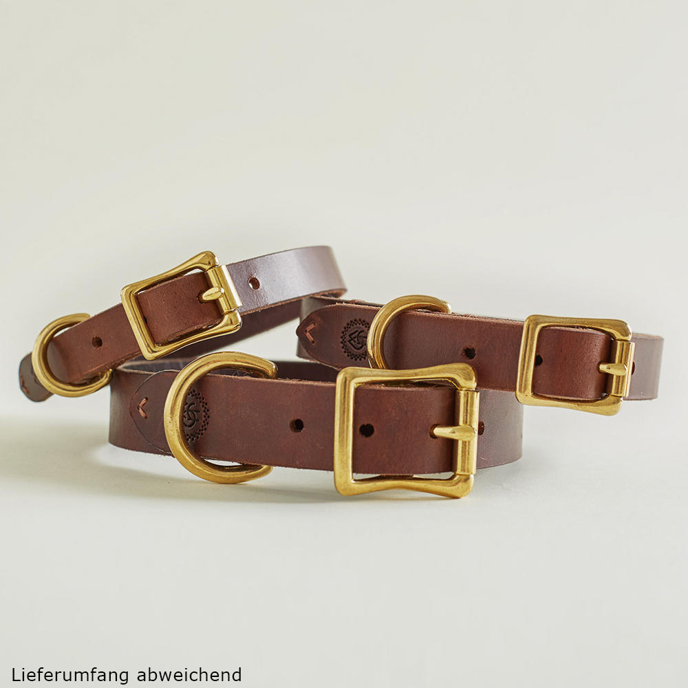 Helen Wells »Classic« Dog Collar, Chestnut, XL 