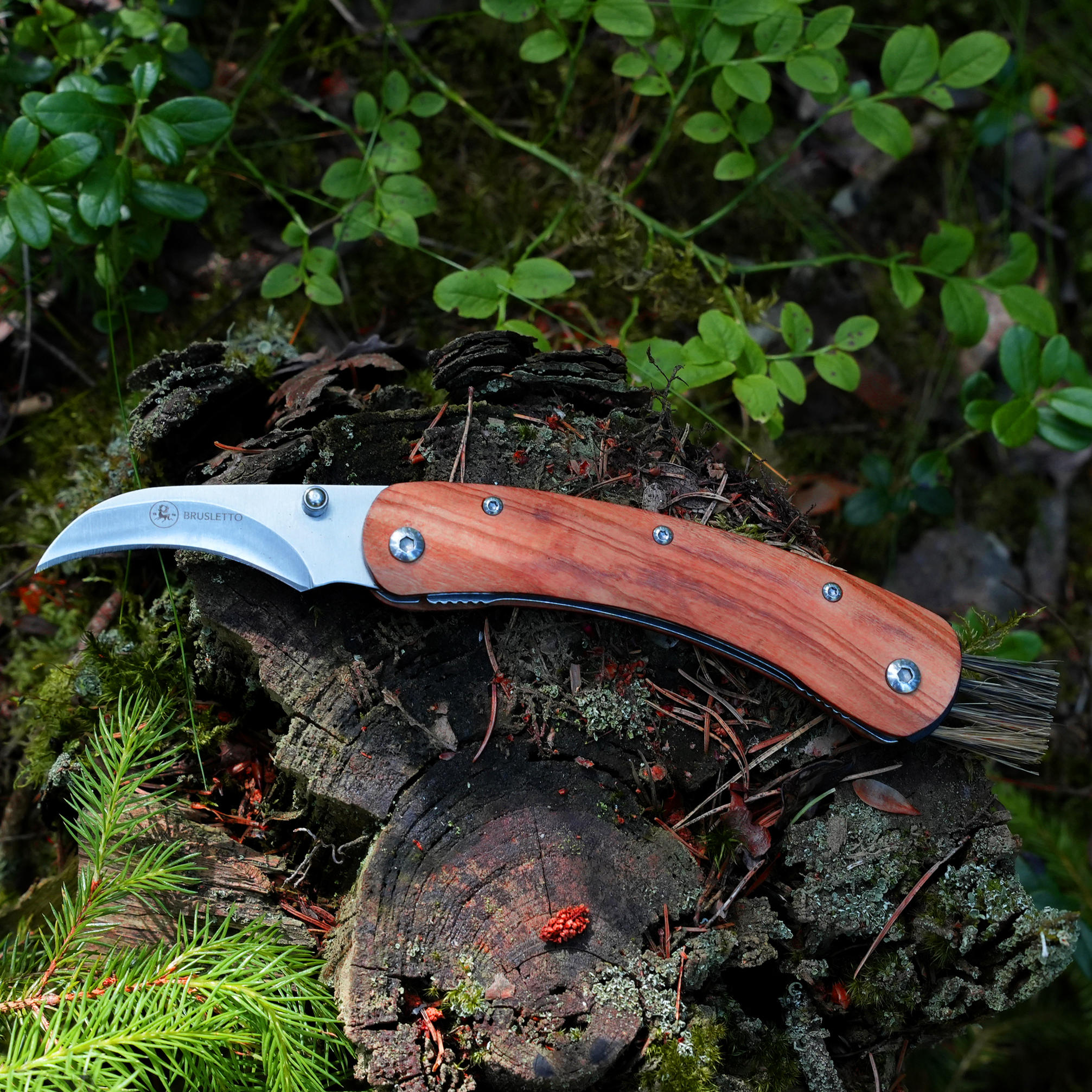 Brusletto® Pilzmesser Vedalen, Olivenholz