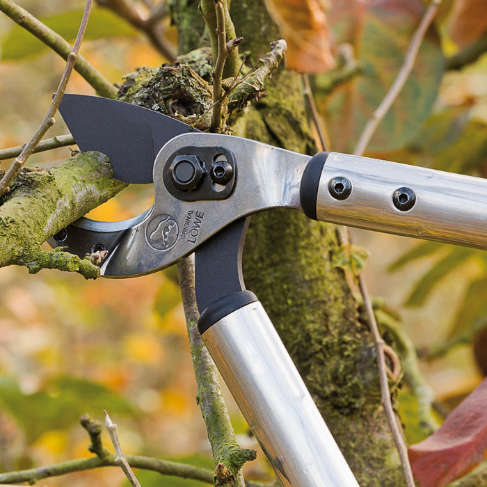 Löwe® 22 Anvil Pruning Loppers with Curved Blade