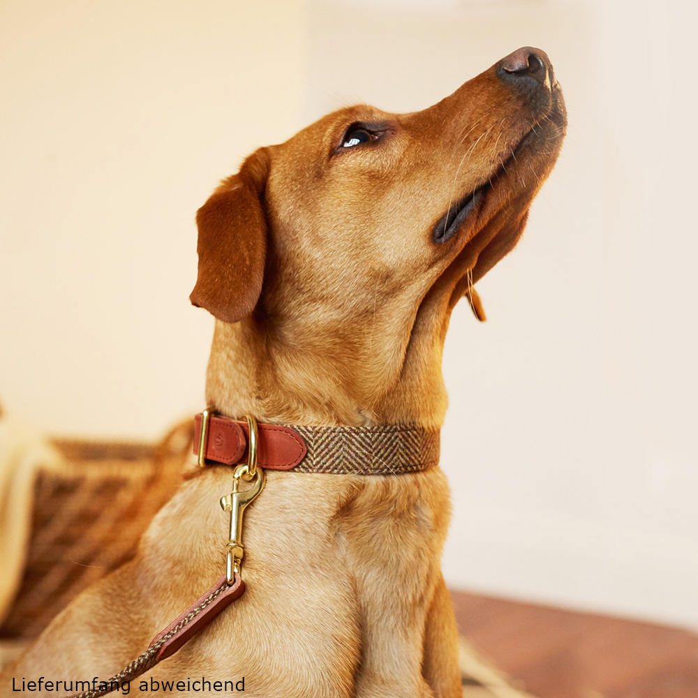 Helen Wells »Tweed Classic« Dog Collar, Beech, XXL 