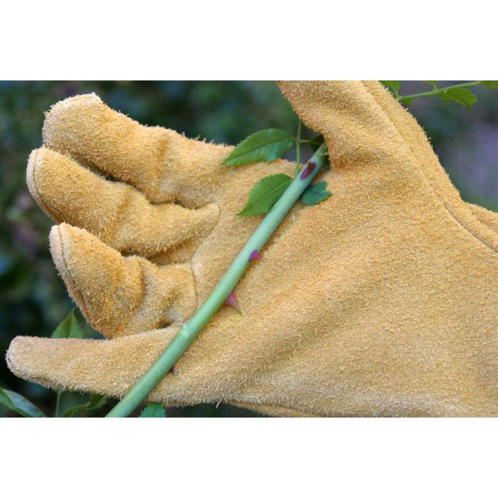 Rostaing® Gardening Gloves »Roncier«, Size 7