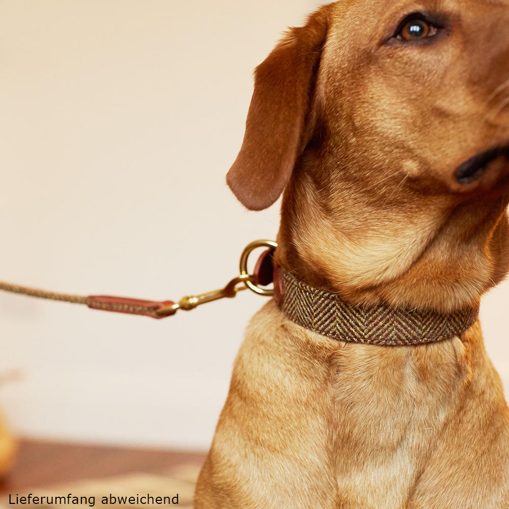 Helen Wells »Tweed Classic« Dog Collar, Beech, XXL 