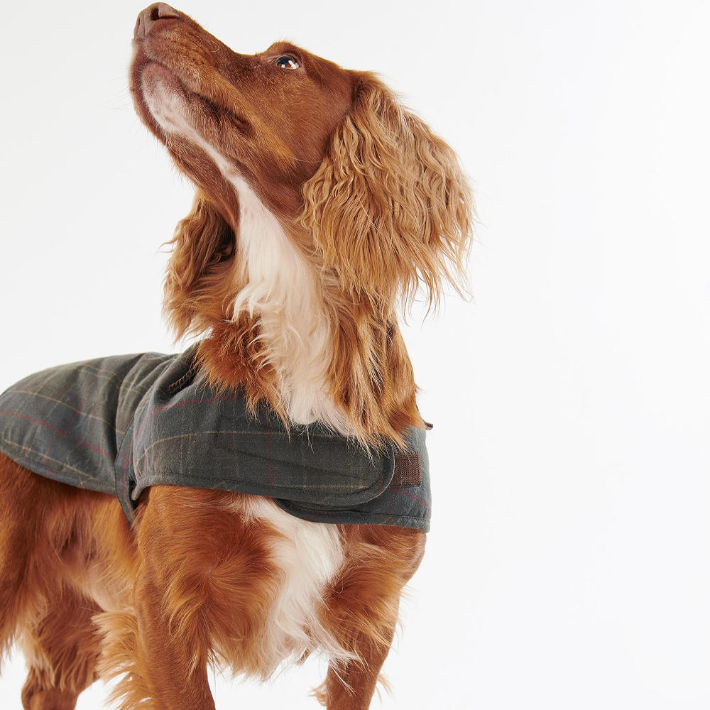 Barbour Hundemantel Wachs, classic tartan