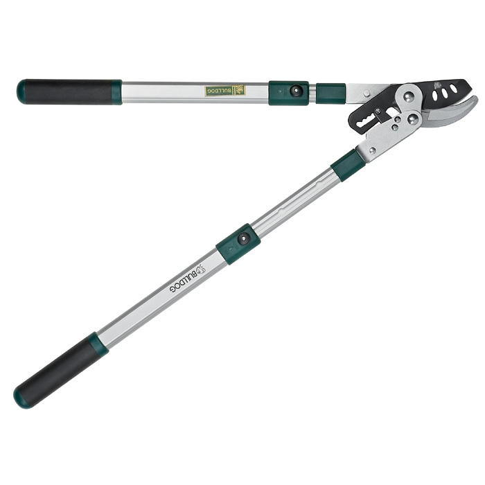 Telescopic Ratchet Loppers
