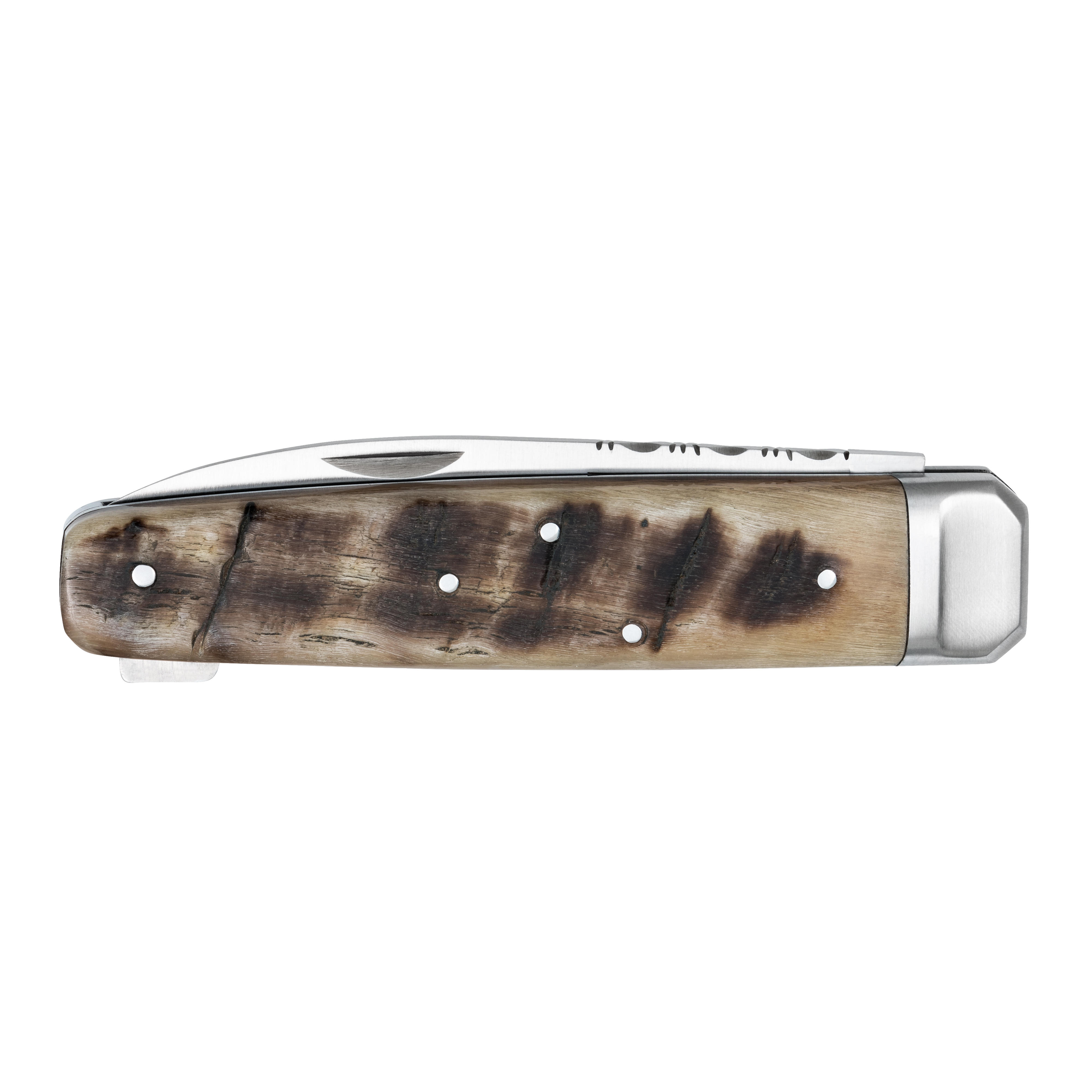 Couteau de chasse Douris Chastel » Hallali «, corne de bélier