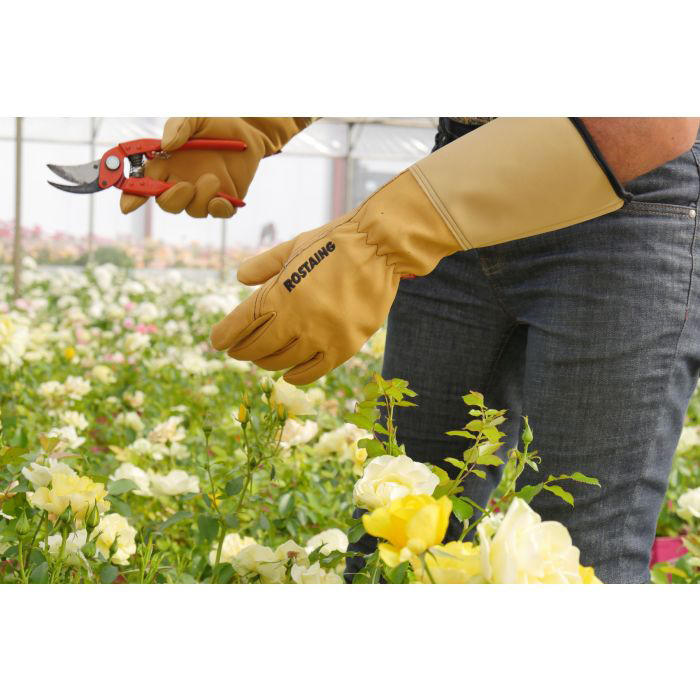 Gants de jardinage Rostaing® » Roseraie «, taille 8