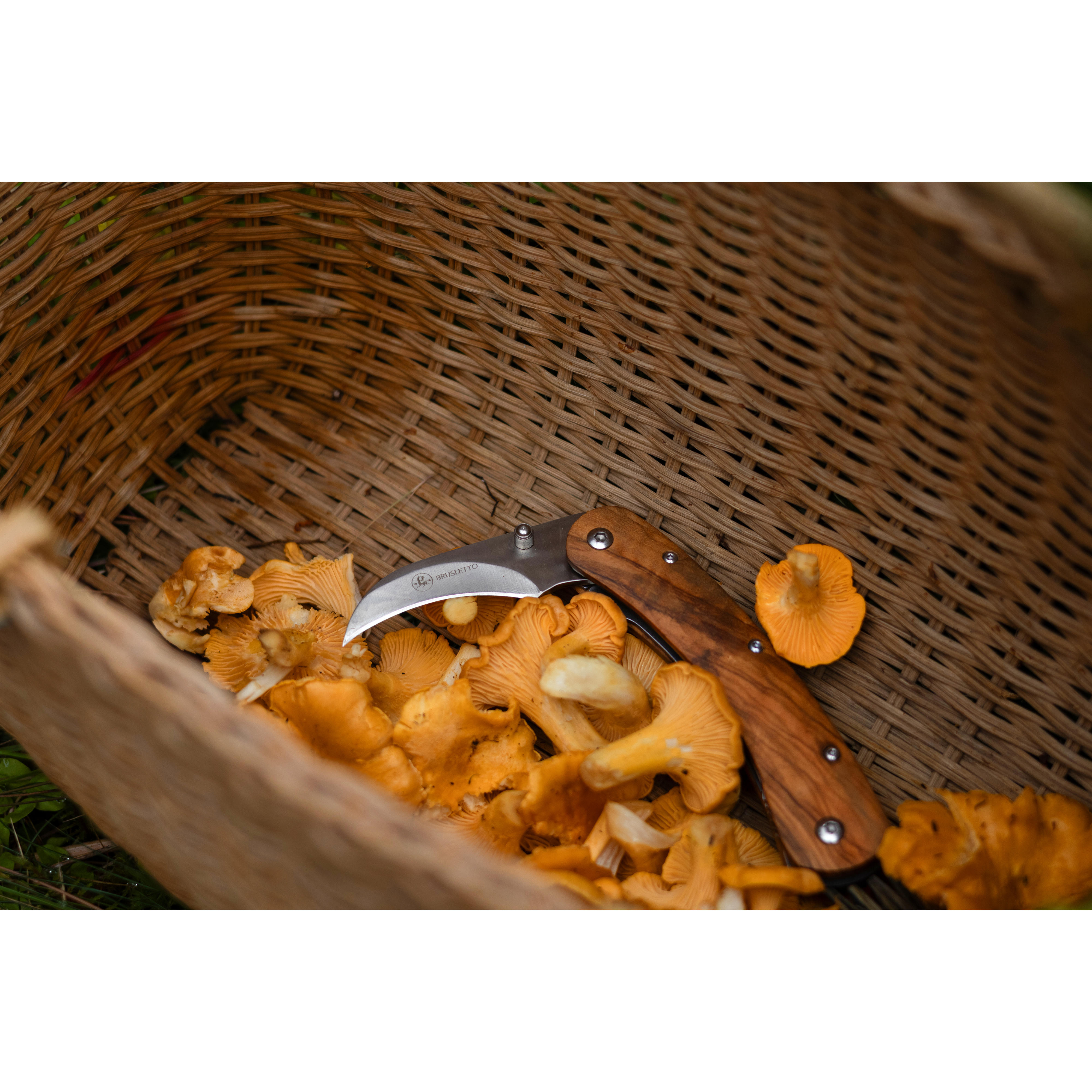 Brusletto® Pilzmesser Vedalen, Olivenholz