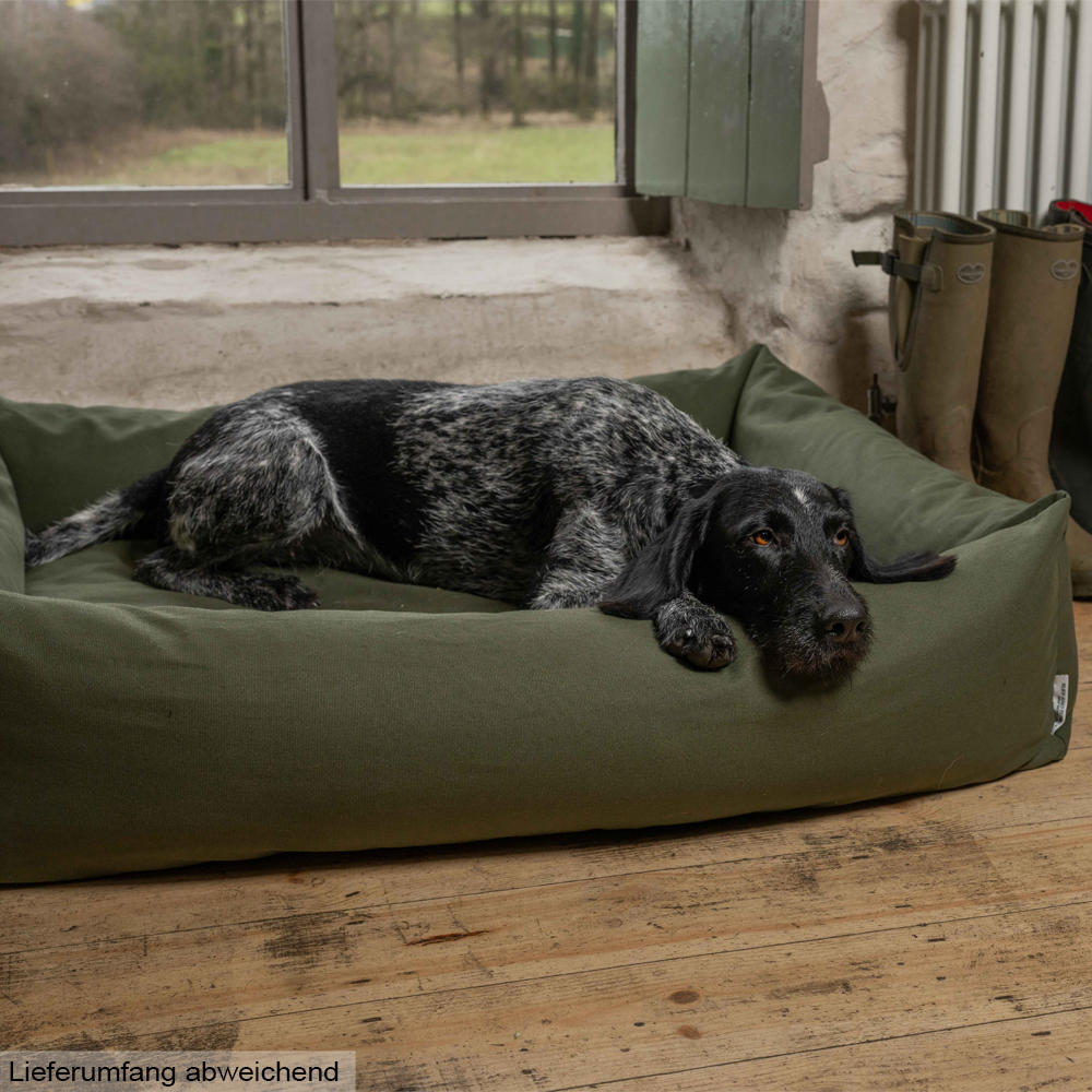 Hundebett Burnham
