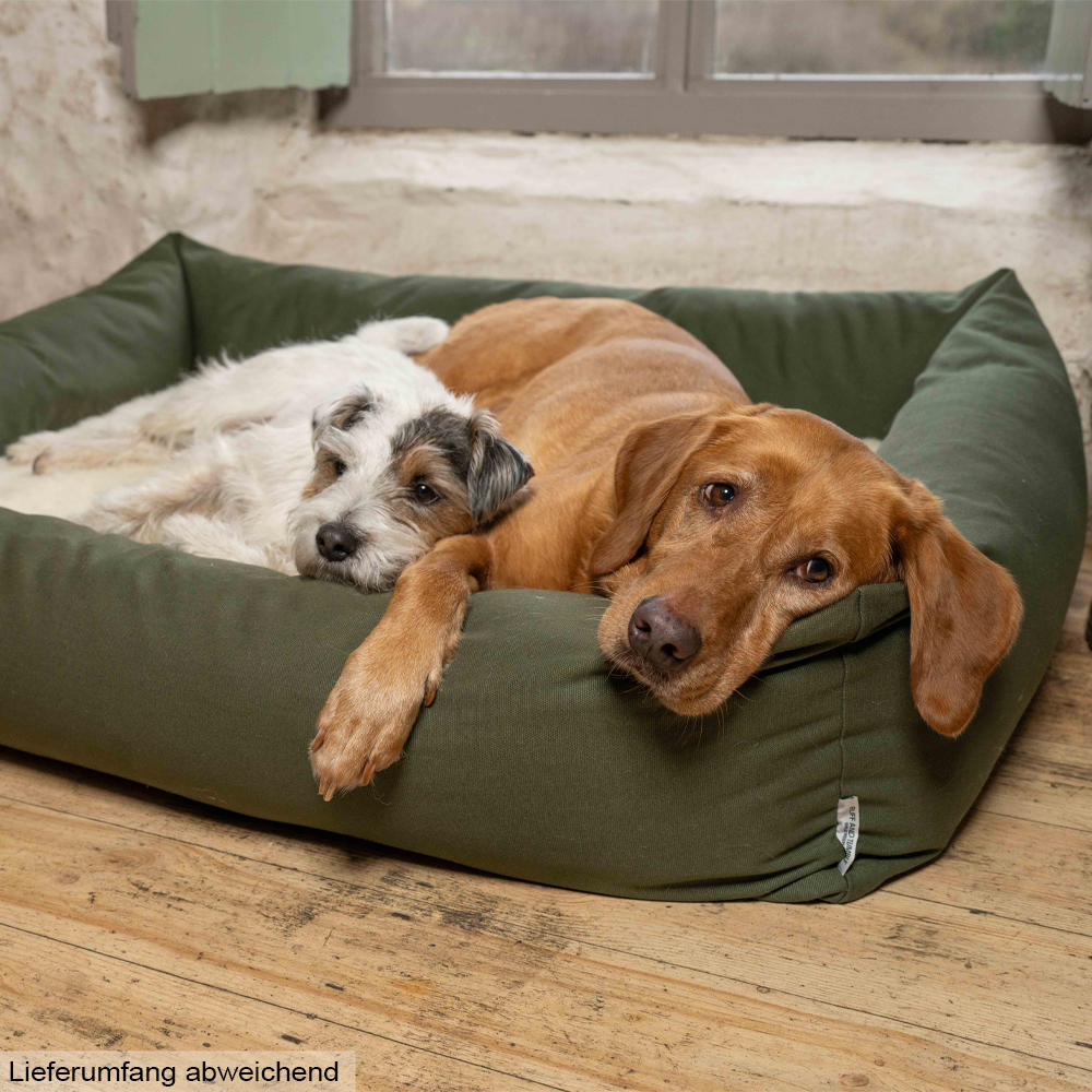 Hundebett Burnham