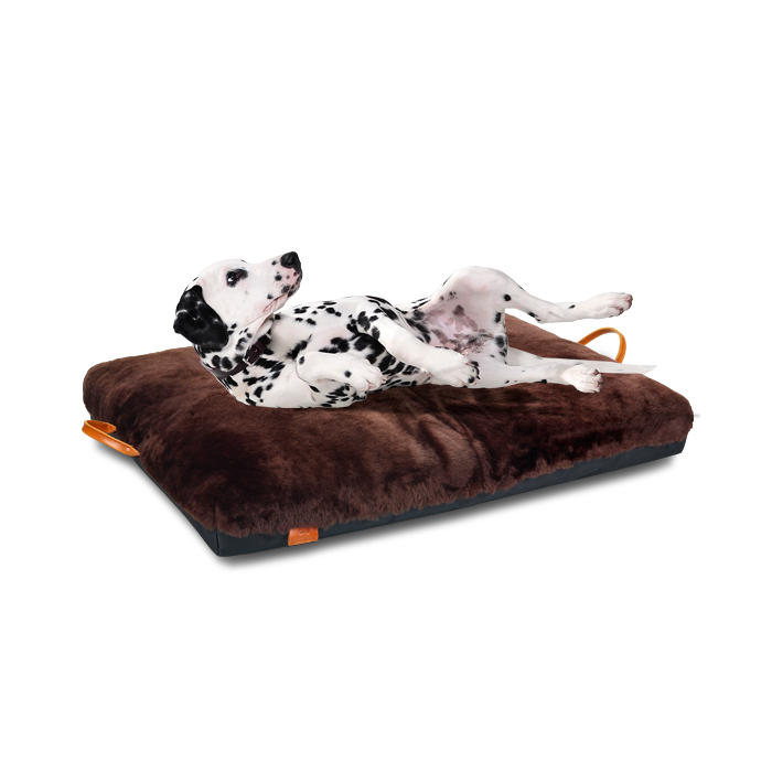 Dog Bed Caesar, Size M