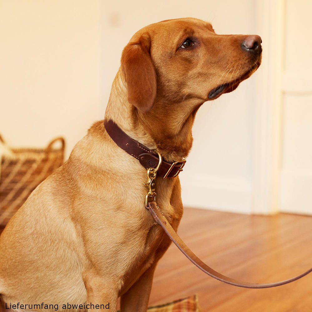 Helen Wells »Classic« Dog Collar, Chestnut, XL 