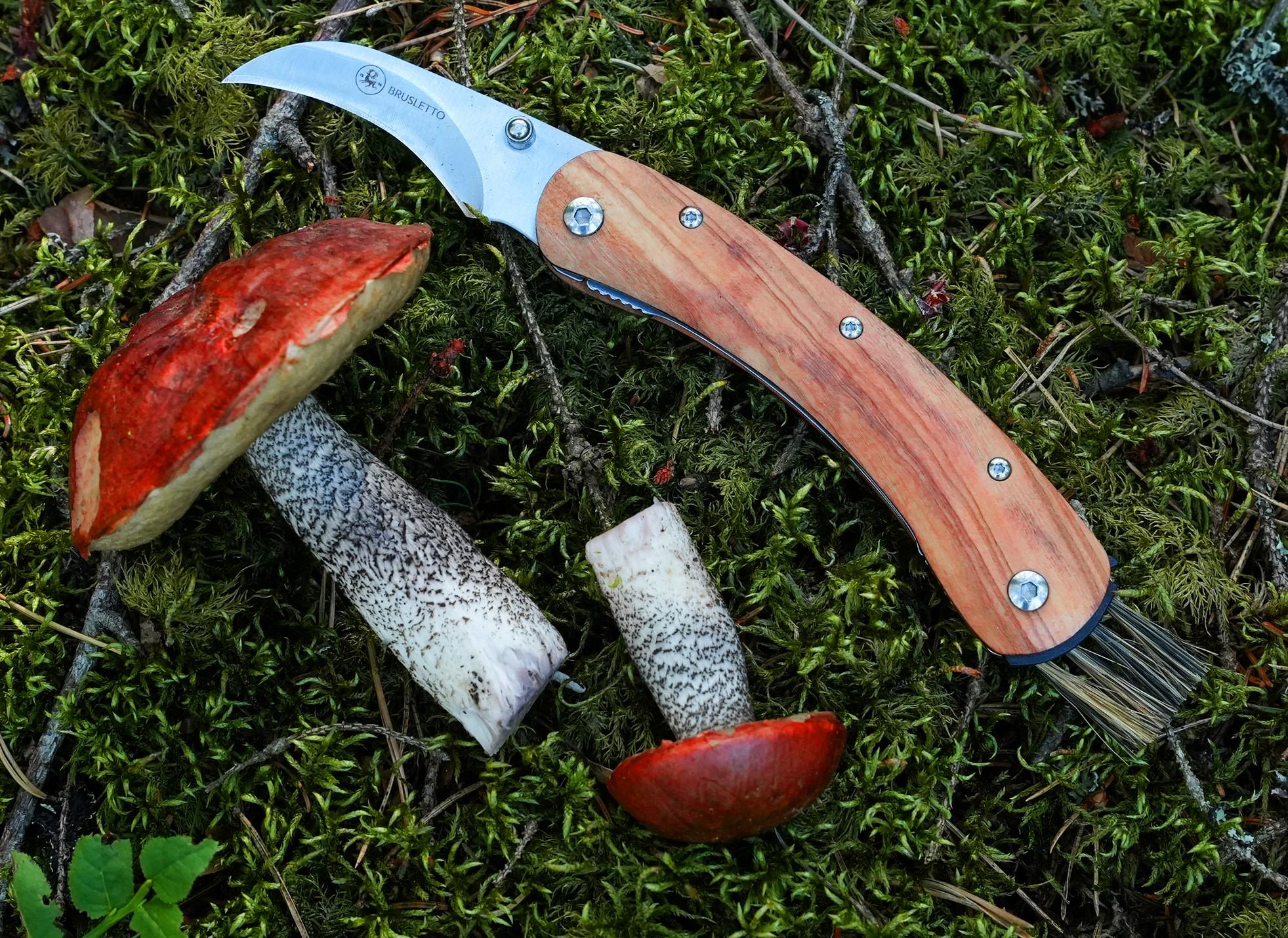 Brusletto® Pilzmesser Vedalen, Olivenholz