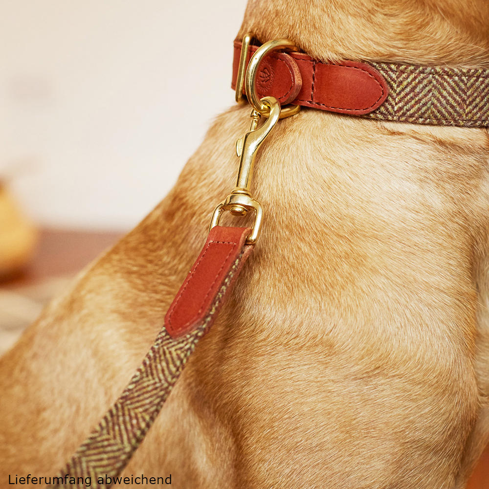 Helen Wells »Tweed Classic« Dog Collar, Beech, XXL 