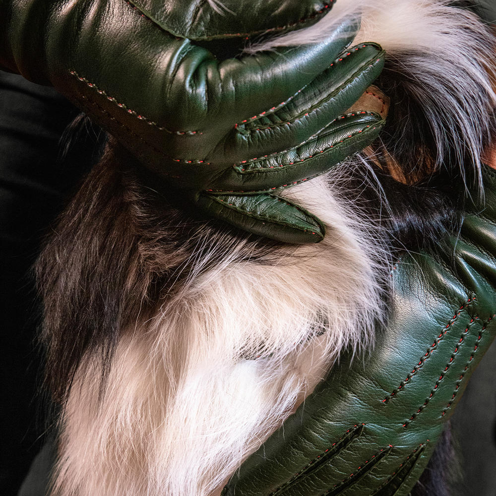 Damen Handschuhe CAEN, Haar-Schaf Nappa, Kaschmirfutter
