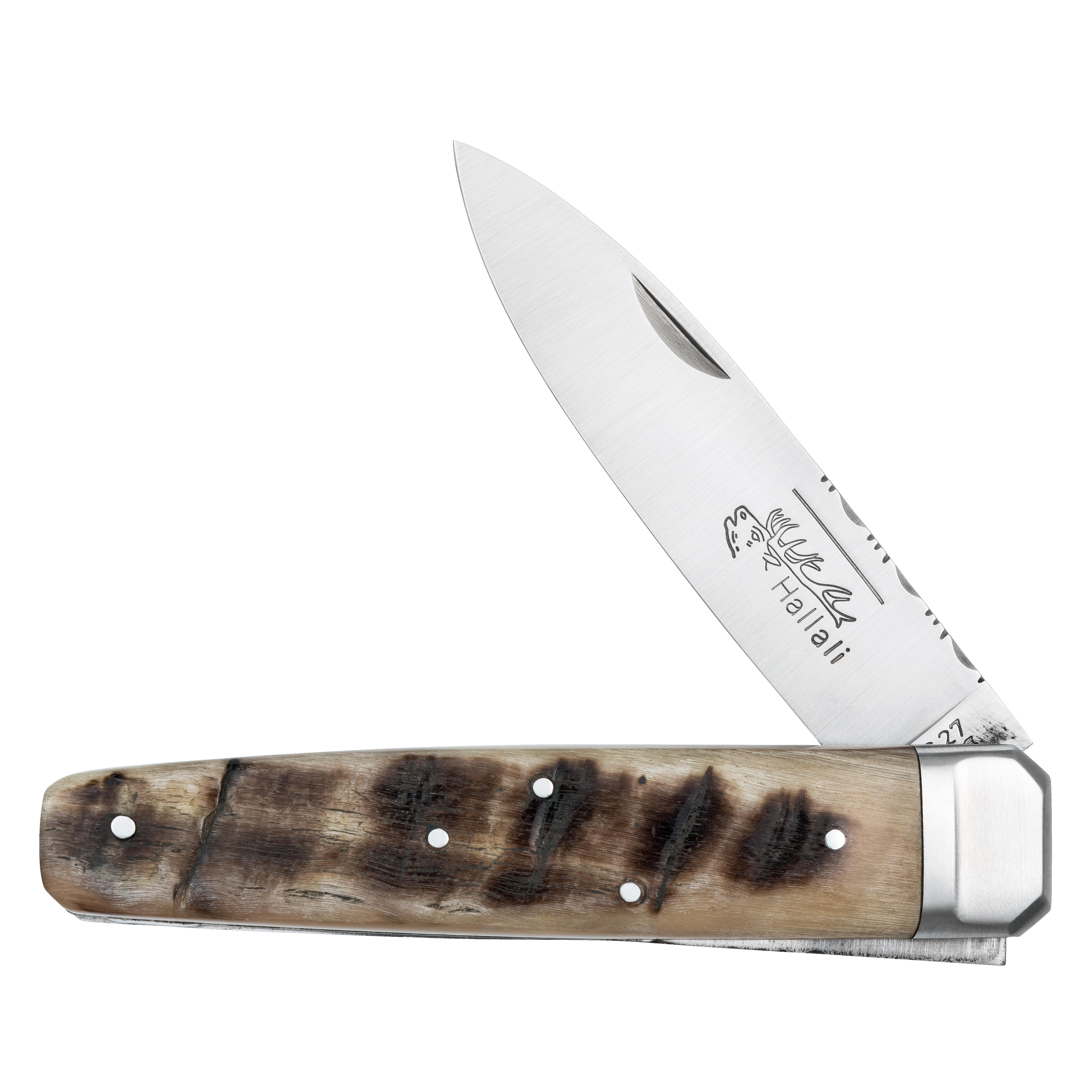Couteau de chasse Douris Chastel » Hallali «, corne de bélier