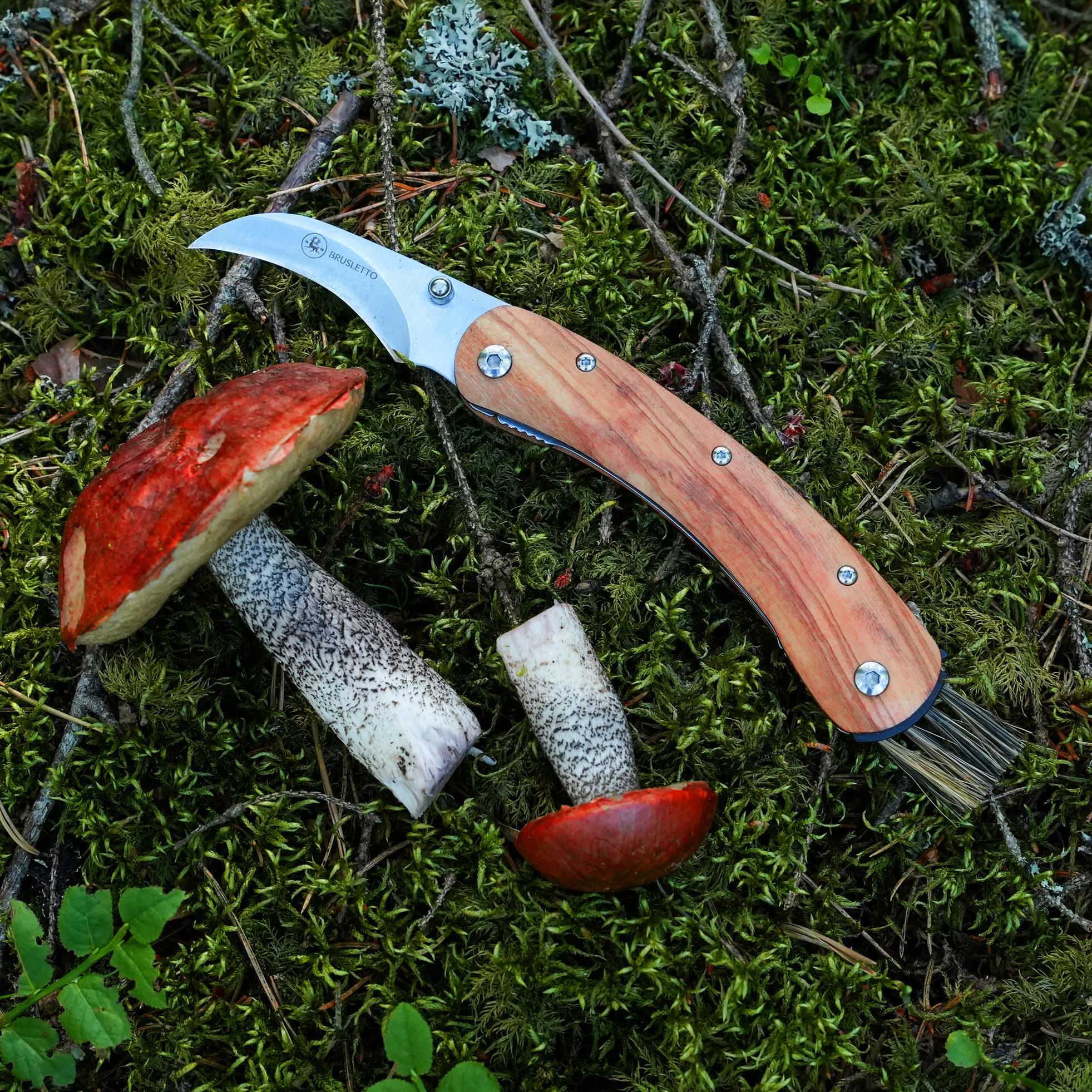 Brusletto® Pilzmesser Vedalen, Olivenholz